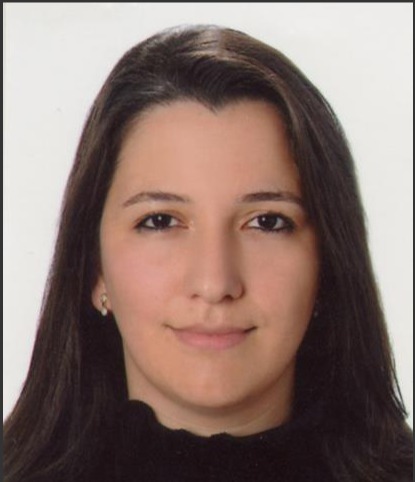 Elif TÜRKCAN DEĞİŞİCİ